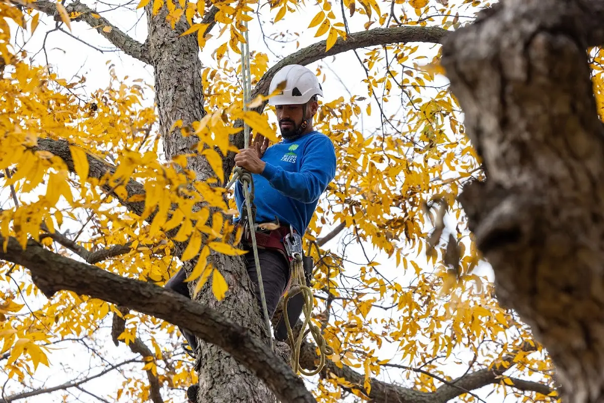 Skilled Storm Damage Cleanup crew working in Buckfield